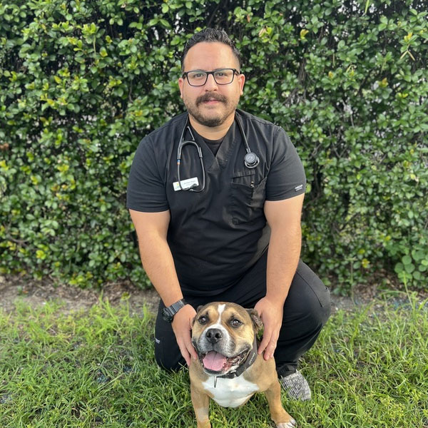 Jordan Vega, veterinary team member at Bayview Animal Hospital in Saint Petersburg, FL

