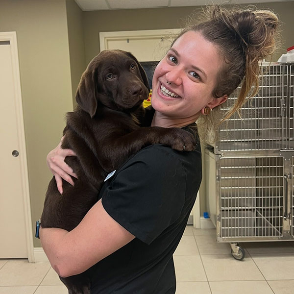 Mattie M., veterinary team member at Bayview Animal Hospital in Saint Petersburg, FL
