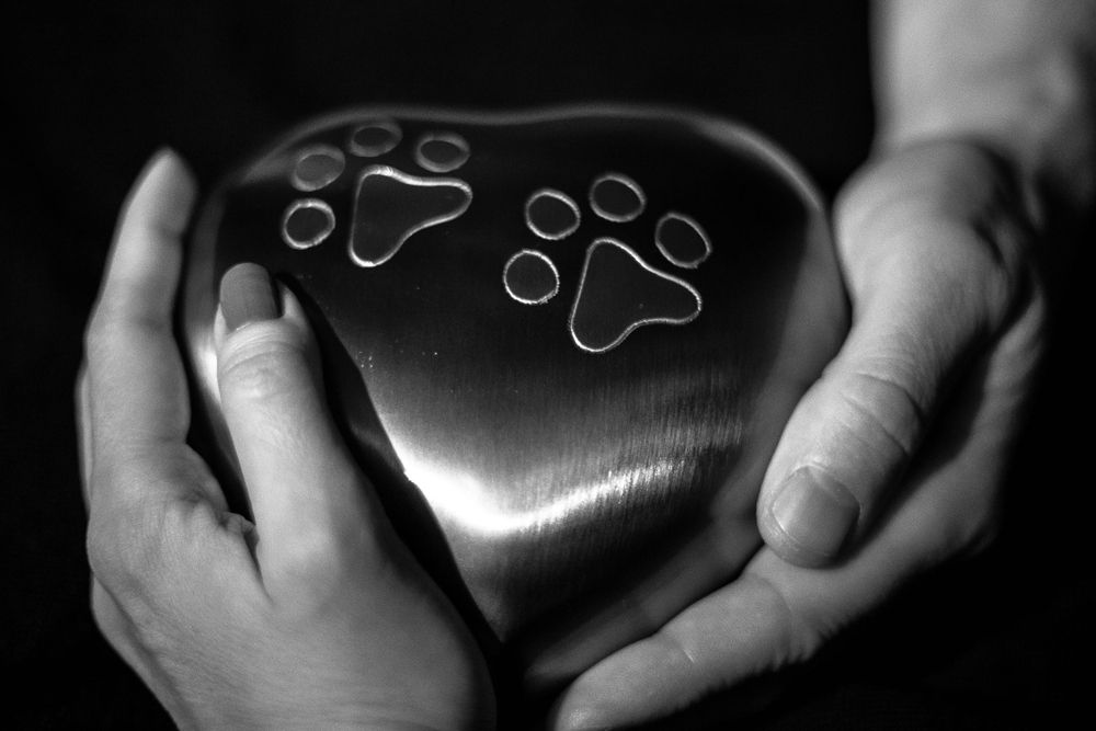 Two hands carefully holding a pet cremation urn during a memorial service