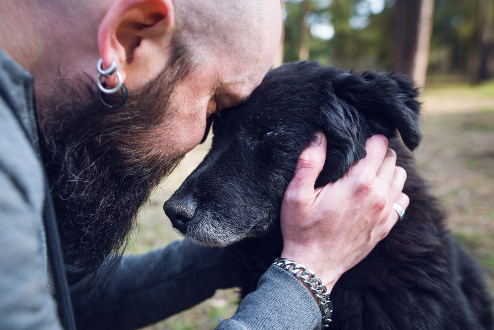 Man tenderly embracing his aging, ill dog — a heartfelt farewell moment